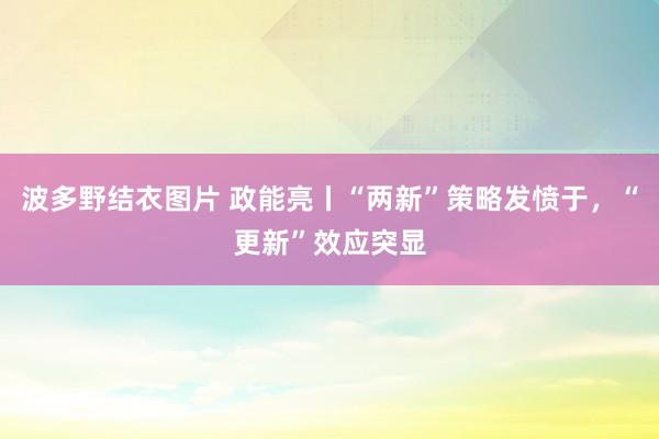 波多野结衣图片 政能亮丨“两新”策略发愤于，“更新”效应突显