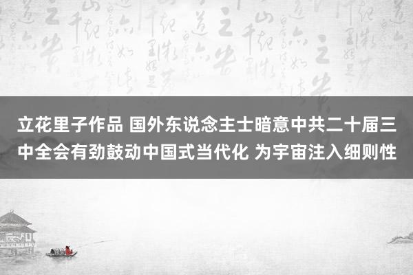 立花里子作品 国外东说念主士暗意中共二十届三中全会有劲鼓动中国式当代化 为宇宙注入细则性