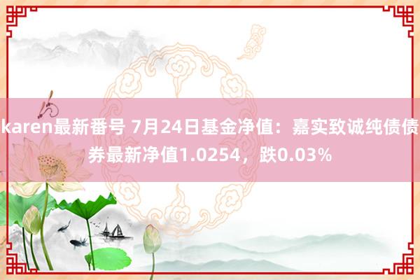 karen最新番号 7月24日基金净值：嘉实致诚纯债债券最新净值1.0254，跌0.03%