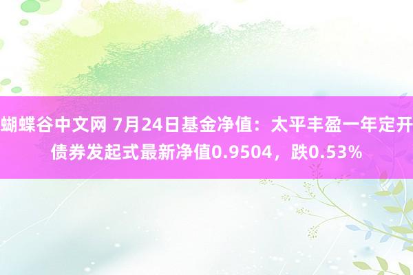 蝴蝶谷中文网 7月24日基金净值：太平丰盈一年定开债券发起式最新净值0.9504，跌0.53%