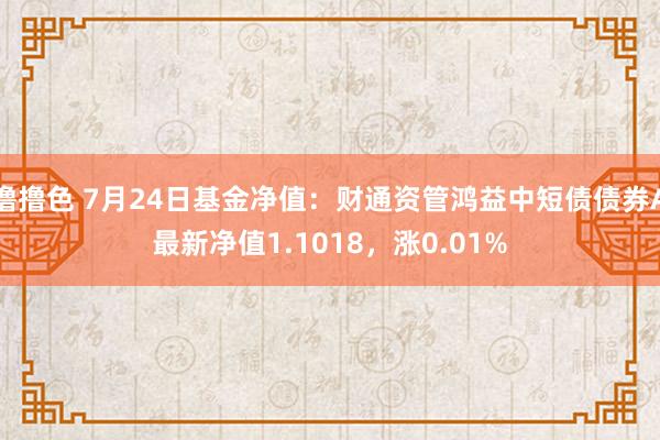 撸撸色 7月24日基金净值：财通资管鸿益中短债债券A最新净值1.1018，涨0.01%