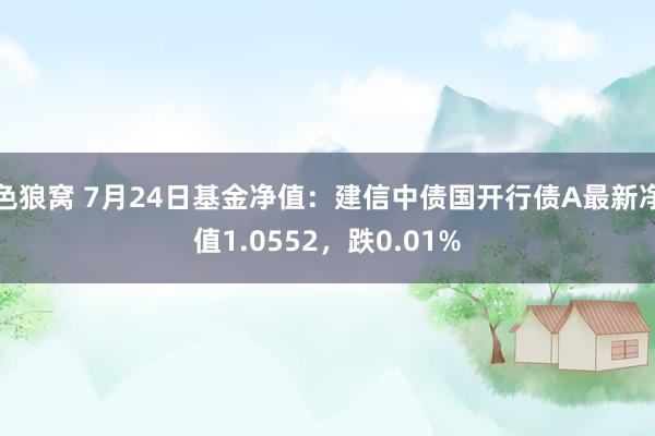 色狼窝 7月24日基金净值：建信中债国开行债A最新净值1.0552，跌0.01%