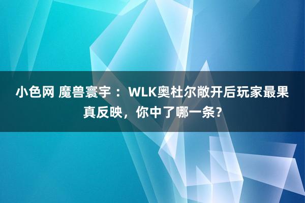 小色网 魔兽寰宇 ：WLK奥杜尔敞开后玩家最果真反映，你中了哪一条？