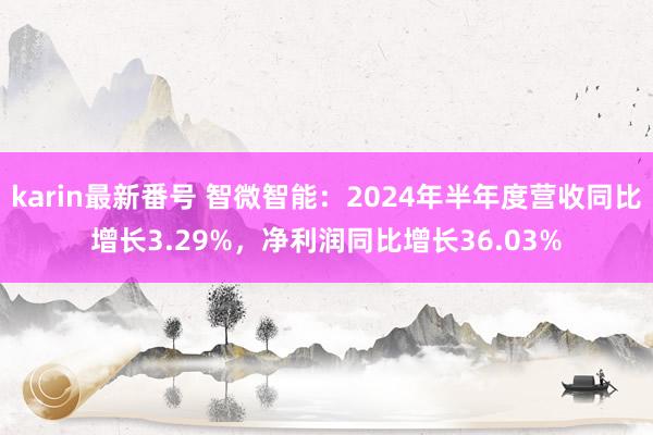 karin最新番号 智微智能：2024年半年度营收同比增长3.29%，净利润同比增长36.03%