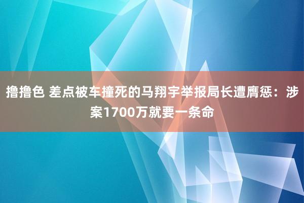 撸撸色 差点被车撞死的马翔宇举报局长遭膺惩：涉案1700万就要一条命