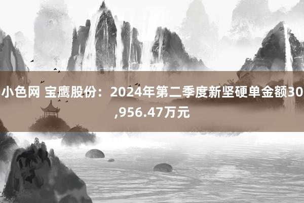 小色网 宝鹰股份：2024年第二季度新坚硬单金额30，956.47万元