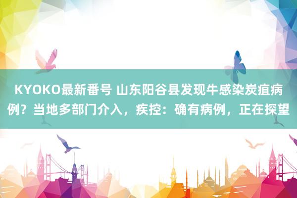 KYOKO最新番号 山东阳谷县发现牛感染炭疽病例？当地多部门介入，疾控：确有病例，正在探望