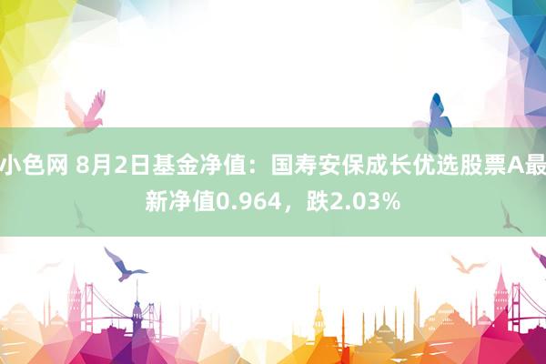 小色网 8月2日基金净值：国寿安保成长优选股票A最新净值0.964，跌2.03%