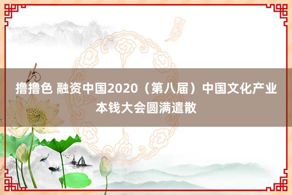 撸撸色 融资中国2020（第八届）中国文化产业本钱大会圆满遣散