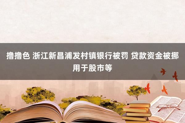 撸撸色 浙江新昌浦发村镇银行被罚 贷款资金被挪用于股市等