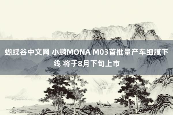 蝴蝶谷中文网 小鹏MONA M03首批量产车细腻下线 将于8月下旬上市