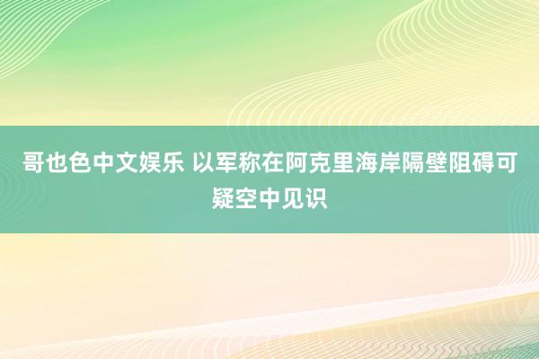 哥也色中文娱乐 以军称在阿克里海岸隔壁阻碍可疑空中见识