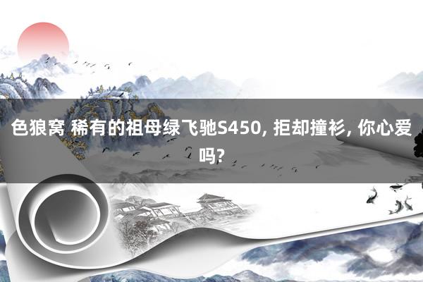 色狼窝 稀有的祖母绿飞驰S450， 拒却撞衫， 你心爱吗?