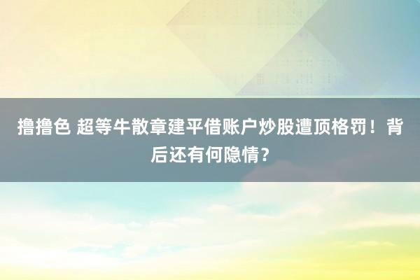 撸撸色 超等牛散章建平借账户炒股遭顶格罚！背后还有何隐情？