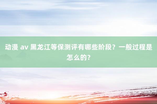 动漫 av 黑龙江等保测评有哪些阶段？一般过程是怎么的？