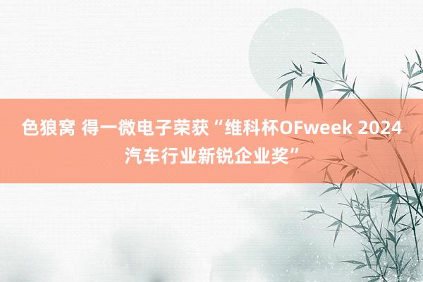 色狼窝 得一微电子荣获“维科杯OFweek 2024汽车行业新锐企业奖”