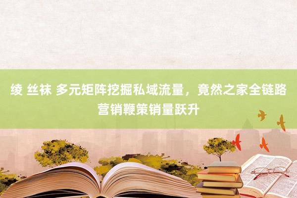 绫 丝袜 多元矩阵挖掘私域流量，竟然之家全链路营销鞭策销量跃升