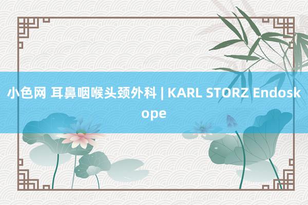 小色网 耳鼻咽喉头颈外科 | KARL STORZ Endoskope