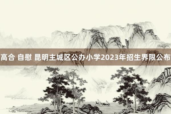 高合 自慰 昆明主城区公办小学2023年招生界限公布